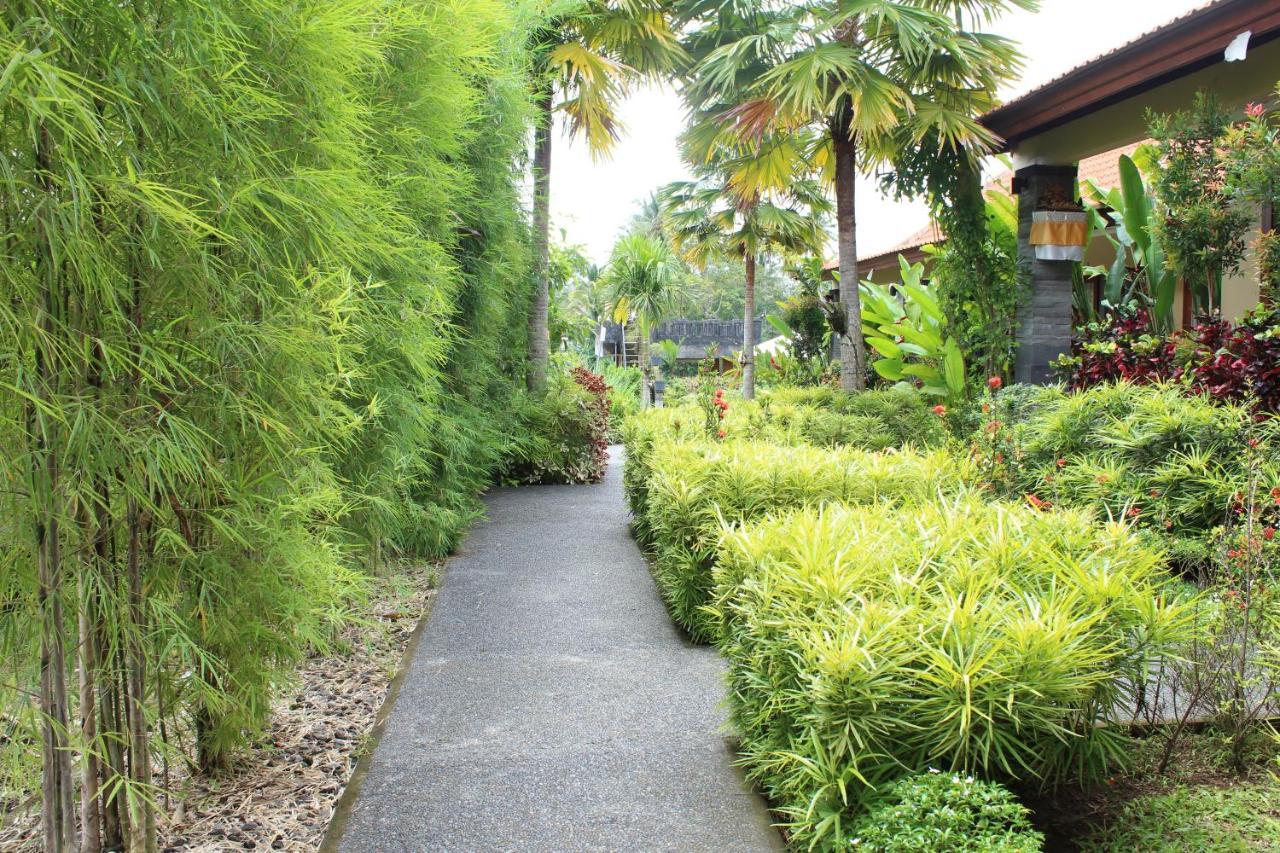 Darra Ria Villa Ubud Zewnętrze zdjęcie