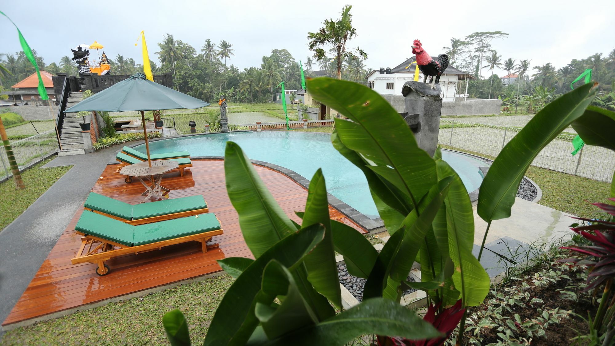 Darra Ria Villa Ubud Zewnętrze zdjęcie