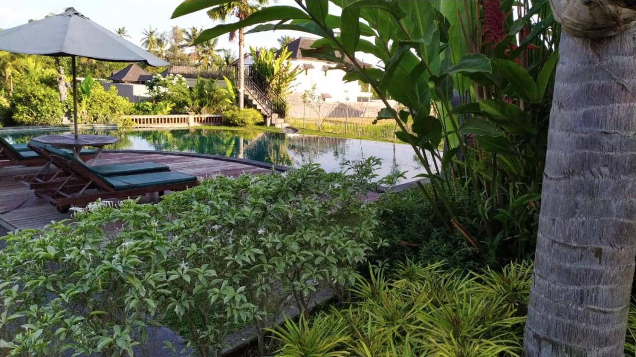 Darra Ria Villa Ubud Zewnętrze zdjęcie